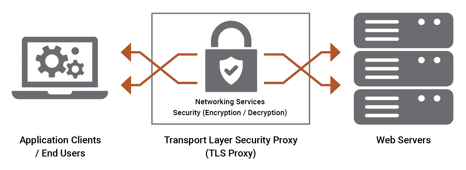 Transport Layer Security Proxy Figure