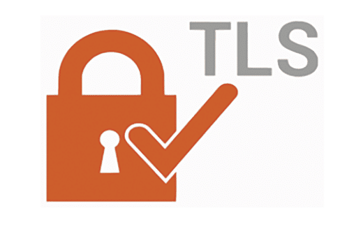 Transport Layer Security Logo