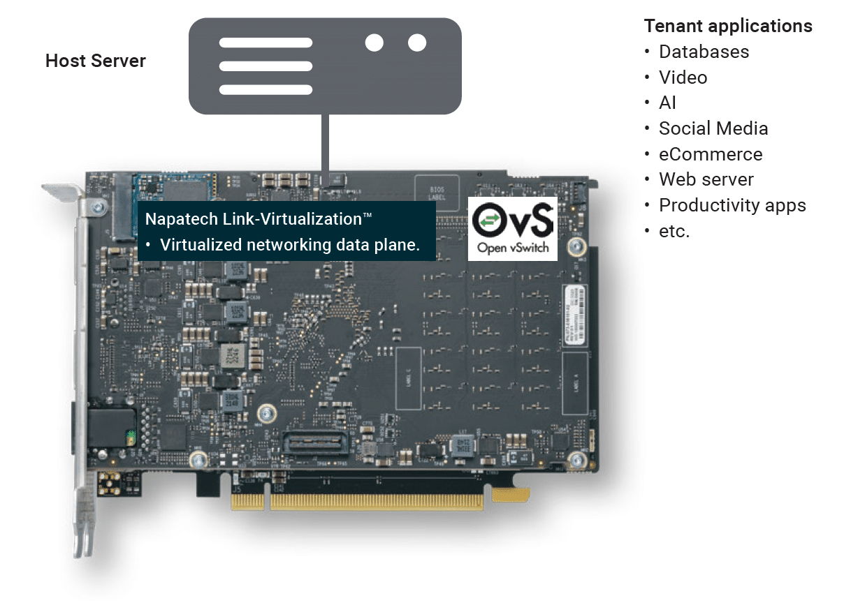 Napatech network offload solution figure