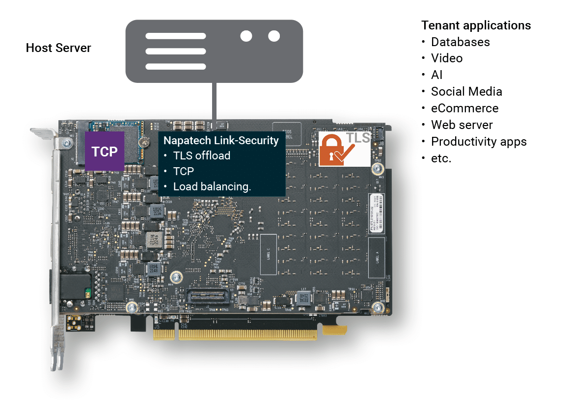 Napatech security offload solution figure