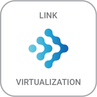 Link-Virtualization™ Software